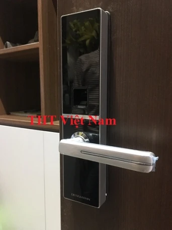Khóa vân tay cho cửa đại sảnh biệt thự cao cấp