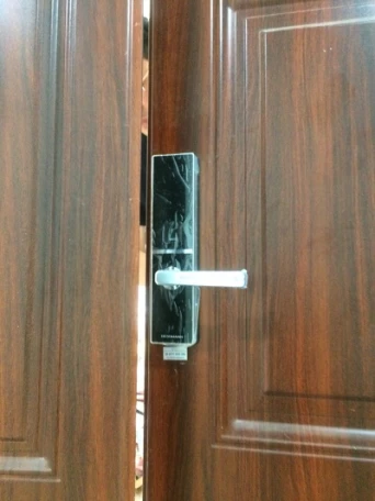 Khóa vân tay cho cửa đại sảnh biệt thự cao cấp